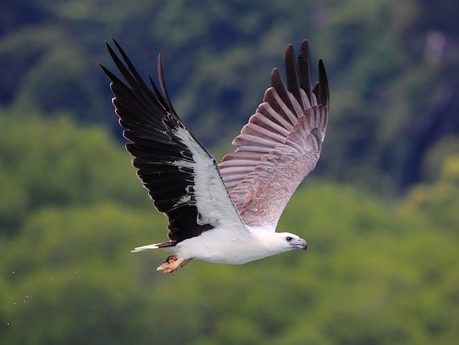 Tasmania’s Moulting Lagoon