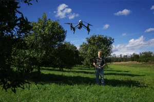 Drones in Macadamia Heaven